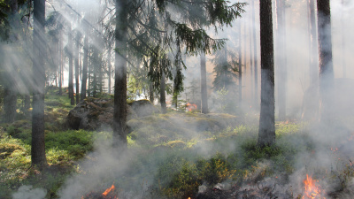 Stor brandrisk – framförallt i skärgården