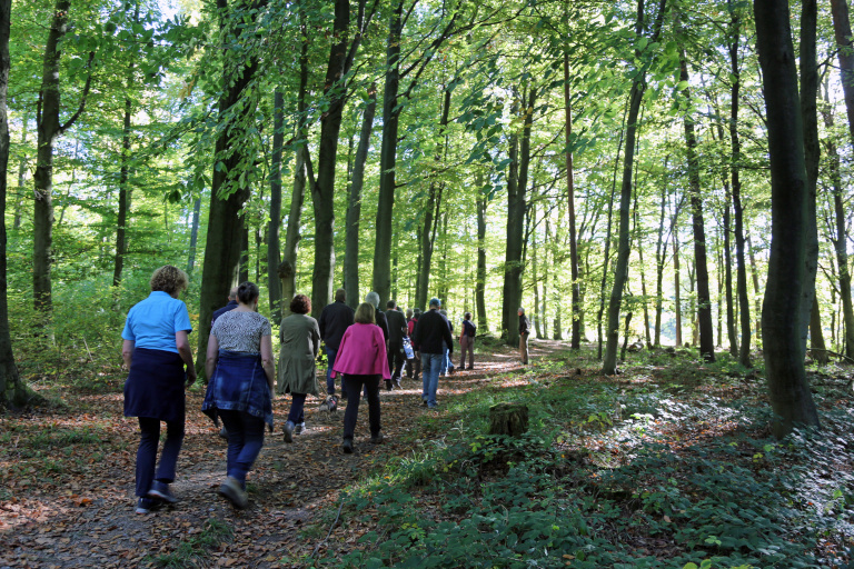 Vandring till Fifalla-Rostäppan