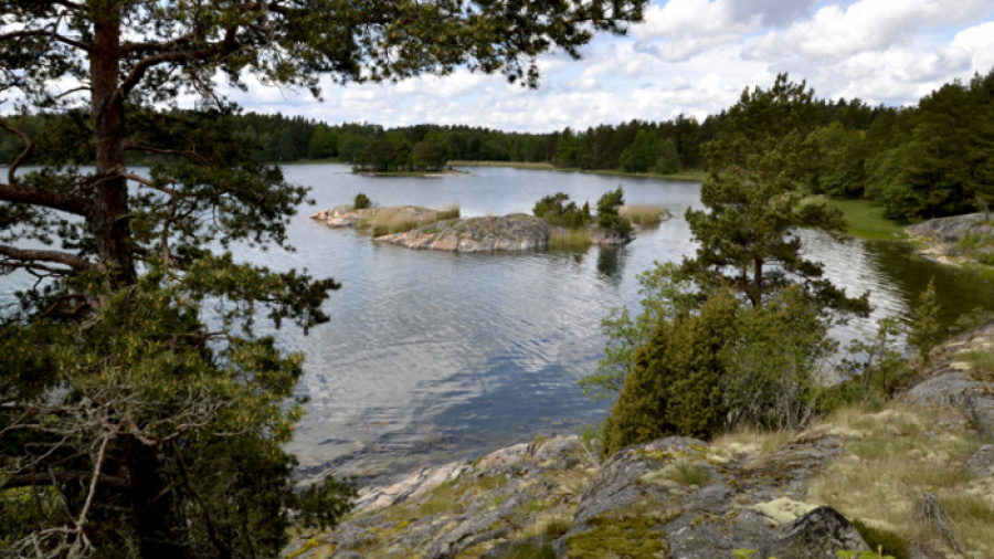 Arnö naturreservat