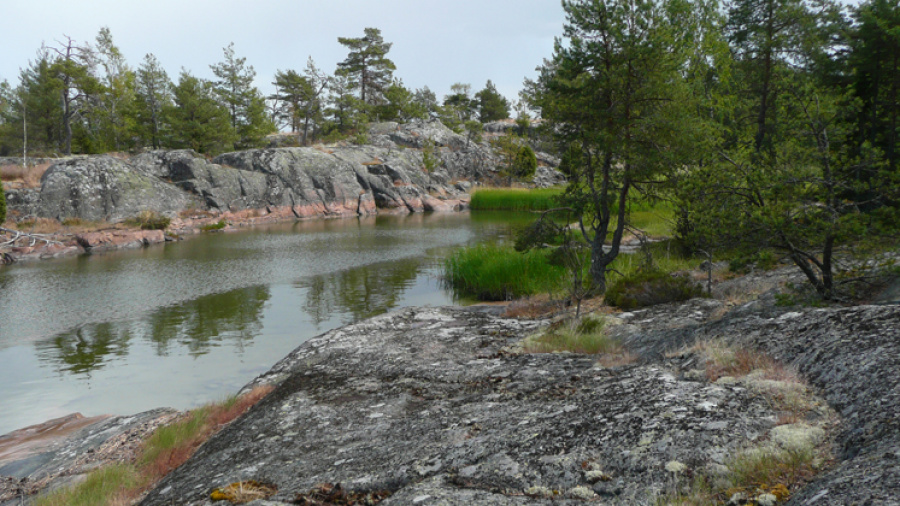 Åsvikelandets naturreservat