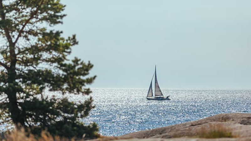 Gemensamt utvecklingsprogram för kust och skärgård i Östergötland och Småland 2030