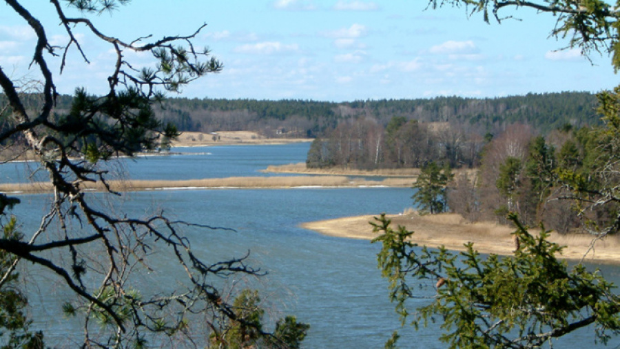 Kattedals gammelskogs naturreservat