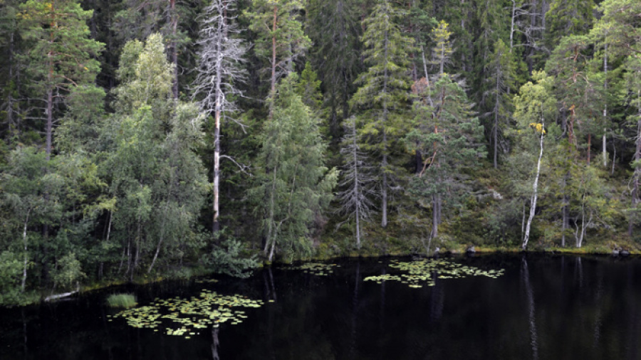 Skrickerums naturreservat