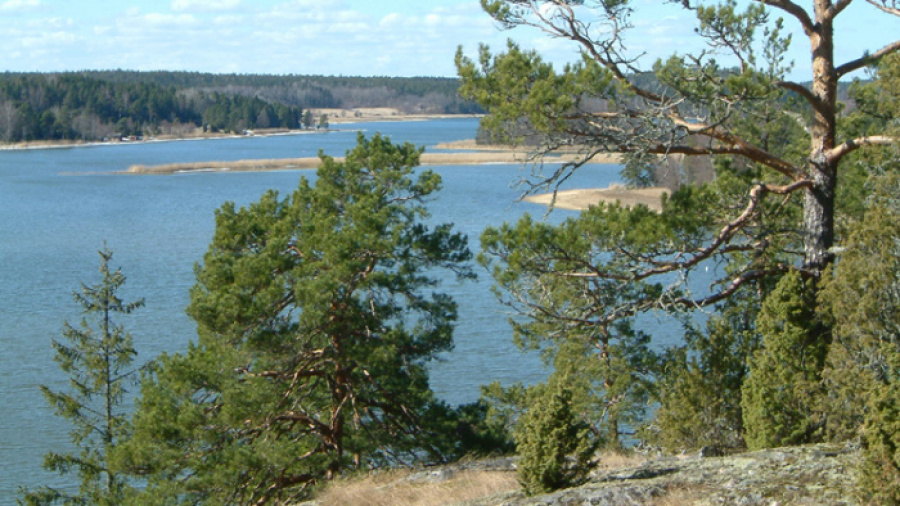 Stjärnö naturreservat