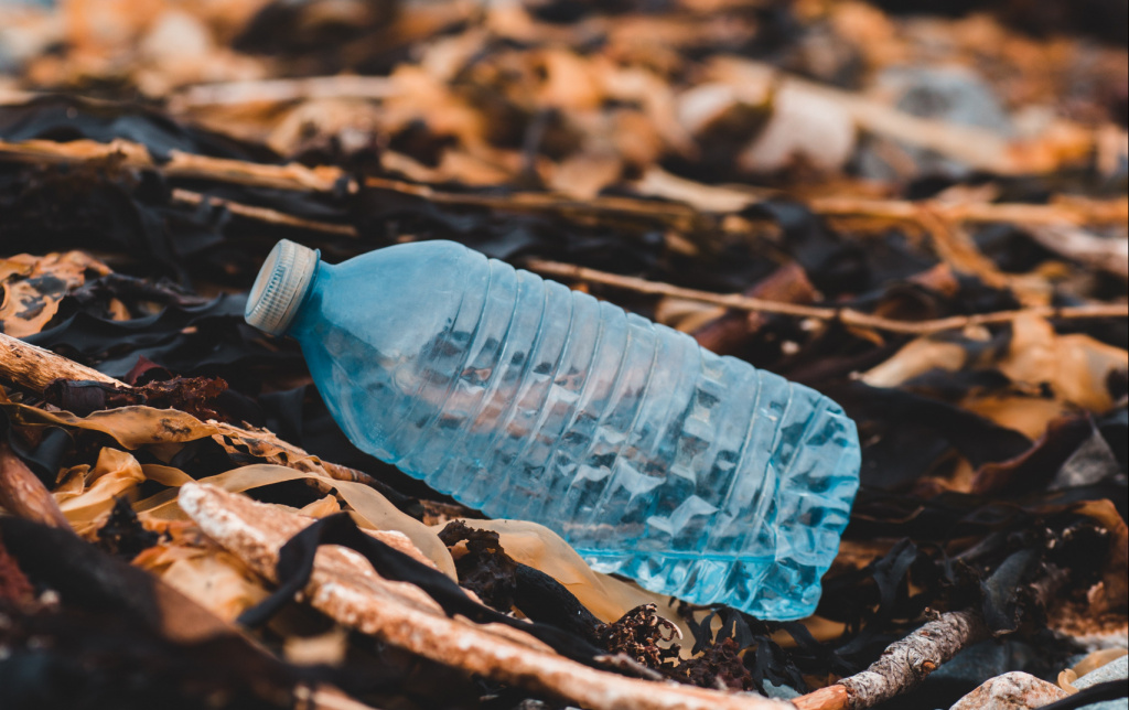 Plastflaska på strand